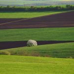 Продаж земельного паю в оренді: як дотриматися процедури