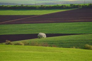 Продаж земельного паю в оренді